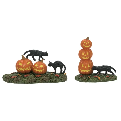 Halloween Village Accessories*Department 56 Scary Cats Pumpkins ST/2