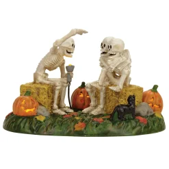 Snow Village Halloween*Department 56 Scary Skeleton Stories