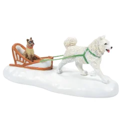 Village Accessories*Department 56 Whose Best Friend?
